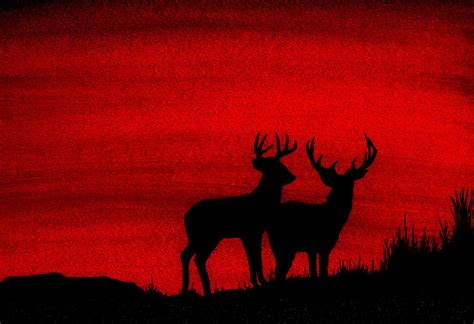 Whitetail Deer At Sunset Painting By Michael Vigliotti