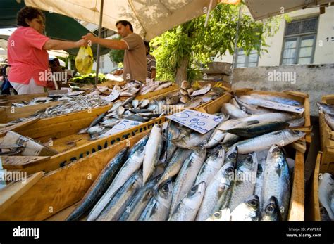Fish Monger Greek Local Market Stall Trader Piraeus Market Greece