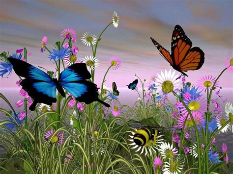 Butterflies Nature Wallpaper 1024x768 11958