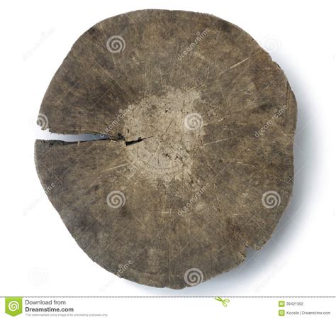 Cross Section Of Old Tree Trunk Stock Photo Image Of