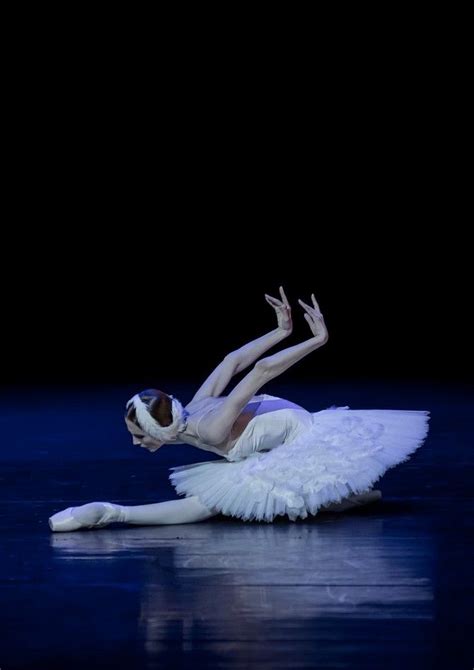 Svetlana Zakharova The Dying Swan 111 Svetlana Zakharova Ballet Photography Swan Lake