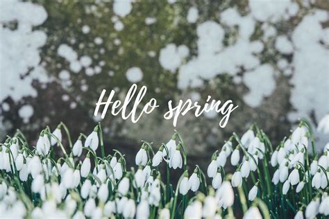10 Best Spring Aesthetic Wallpaper Desktop You Can Use It Free Of
