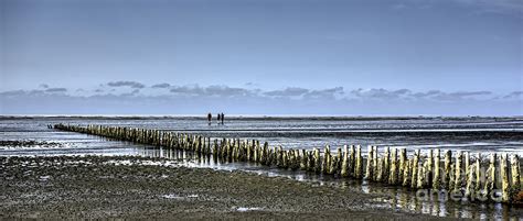 Wadden Sea From The Island Mando Denmark Photograph By Frank Bach