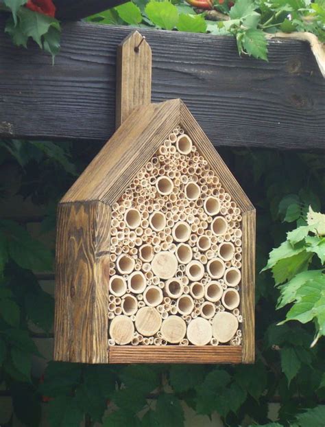 However, honeybees succumb to plenty these days—varroa mite infestations, small hive beetle (shb) i've talked to several bee keepers in my area and they said i could resonable have 8 , 2 on each side in the perspective garden areas. Our List Of The Best Bee Houses To Keep Your Bees Healthy