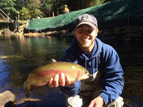 Davidson River Wade Trip With Brown Trout Fly Fishing Brevard North