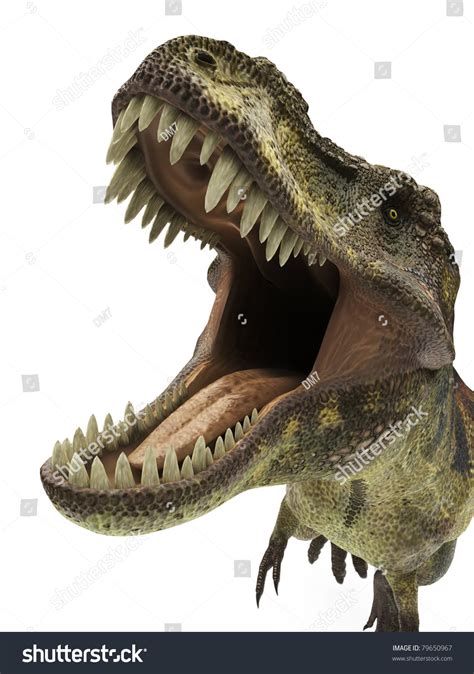 Tyrannosaurus Rex Close Stock Illustration 79650967 Shutterstock