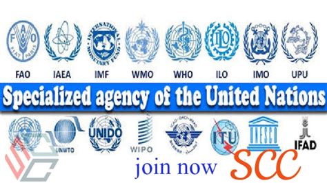 What Are The Specialized Agency Of The United Nations In Scc In