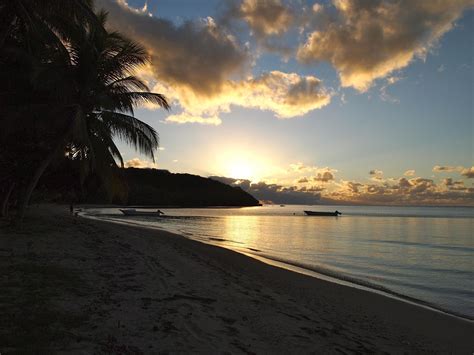 Papageno Resort Updated 2022 Prices And Reviews Fijikadavu Island