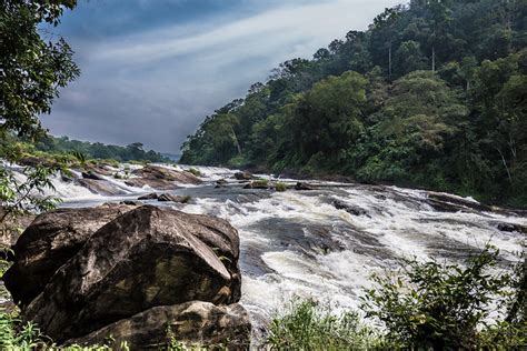 Chalakudy River A Photo On Flickriver