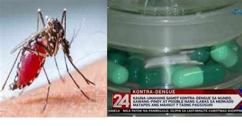 Kauna Unahang Gamot Sa Dengue Sa Buong Mundo Nadiskubre Ng Pinoy Doktor