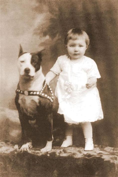 Old Photos Of The Nanny Dog Staffordshire Bull Terrier