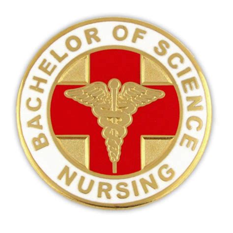 Pinmart Bachelor Of Science Nursing Bsn Lapel Pin Nursing Pins Nurse