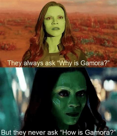 Hilarious Gamora Memes That Will Make You Laugh Hard In My Xxx Hot Girl