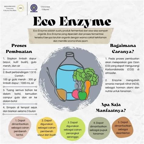 Cara Kerja Eco Enzyme Dan Manfaatnya Untuk Lingkungan Dan Kesehatan Matob
