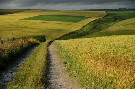 Landscape Chalk Uplands Salisbury Plain Uk Jeremy Haslam Flickr