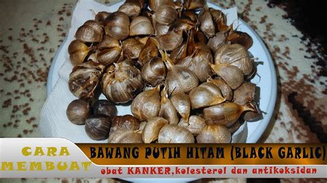 Mungkin bagi sebagian orang hal itu terbilang tidak mungkin, mengingat bau bawang tersebut yang sangat menyengat. Cara Membuat Black Garlic (Bawang Putih Hitam) untuk ...