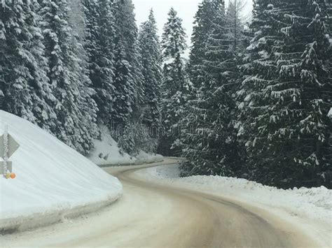 Snowy Road To Mt Spokane Stock Photo Image Of Spokane 76922822