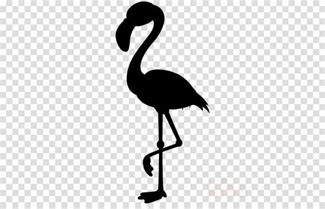 Flamingo Silhouette Clipart Illustration Drawing Art