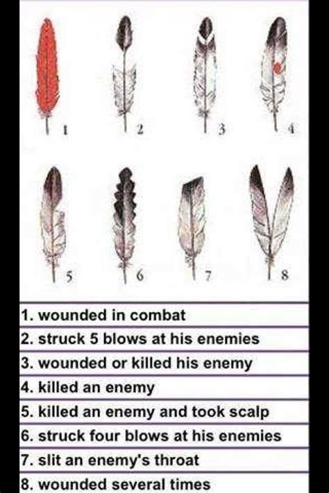American Indian Feather Meanings Native American Symbols American