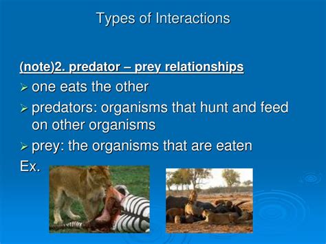 Ppt Interactions Among Living Things Powerpoint Presentation Free