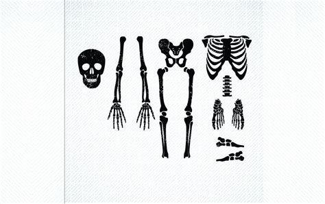 Distressed Skeleton Svg Grunge Skeleton Graphic By Svg Den · Creative