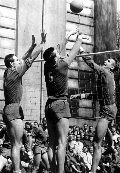 Jeho dědeček boris perušič, rodák ze záhřebu, získal s československou reprezentací v roce 1964 v tokiu stříbro, o dva roky později pomohl k titulu na domácím mistrovství. Koudelka Drahomír