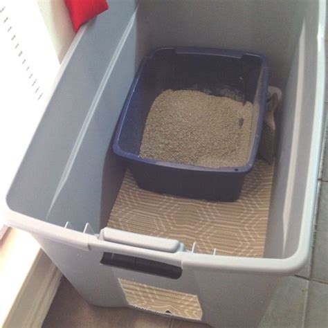 Cat Products: Must Have Stuff For Cat Lovers | Diy litter ...
