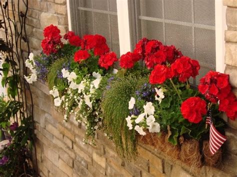 Zinnias get quite full and fill in the middle of the box nicely, making for another perfect filler without taking over like petunias can. Full sun red white and blue window box | 4th of July ...