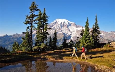Mount Rainier National Park Washington State Explorer Sue Your