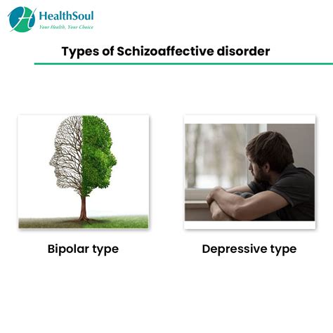 Schizoaffective Disorder Symptoms And Treatment Healthsoul