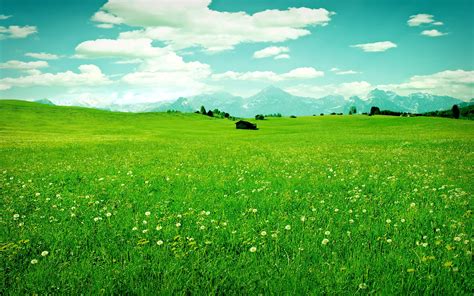 The Hills Are Alive High Definition High Resolution Hd Wallpapers