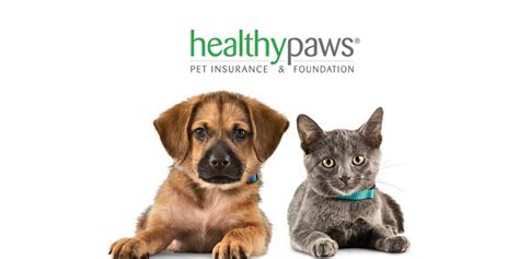 However if you call in to speak with a representative you will. Healthy Paws Pet Insurance Review - 365 Pet Insurance