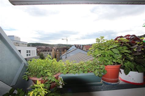 Dann sind sie hier genau richtig. Verkauf: 3-Zimmer-Wohnung mit Logggia in Stuttgart-West