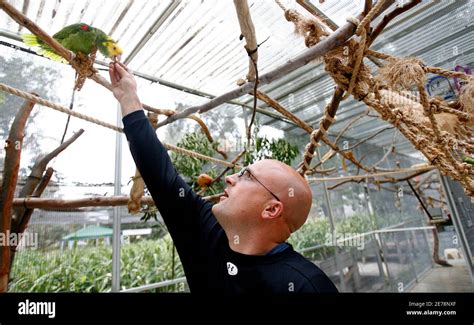 Serenity park and parrots hi-res stock photography and images - Alamy