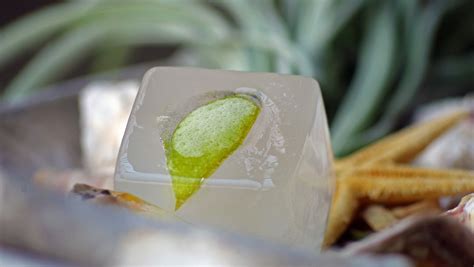 ¿Cómo hacer cubitos de hielo con sabor para tus bebidas? – Noticieros
