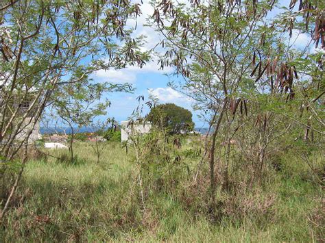 Long Bay, St. Philip - Lot #65 - Land for Sale - Just Real Estate