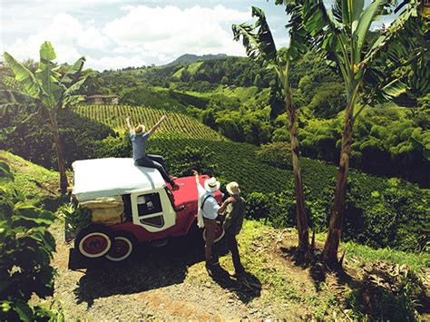 Descubre La Ruta Del Café Colombiano Colombia Travel