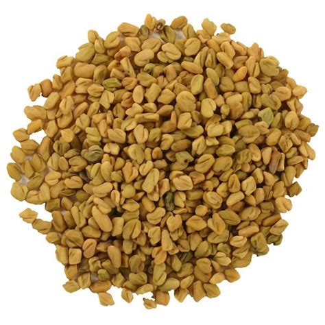 Learn more about fenugreek uses, benefits, side effects, interactions, safety concerns. How to Produce More Breast Milk | New Health Guide