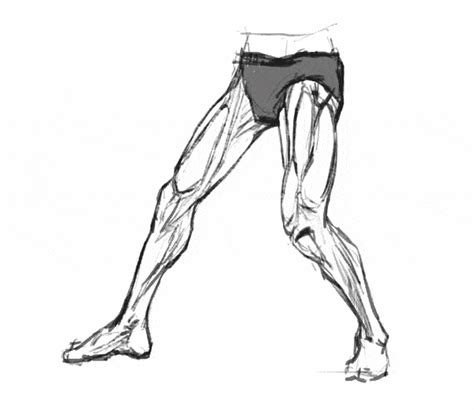 How To Draw Legs The Easy Step By Step Guide With Simplified Anatomy Gvaat S Workshop