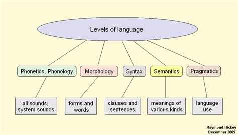 5 Levels Of Language Structure And Their Language And Speech Units