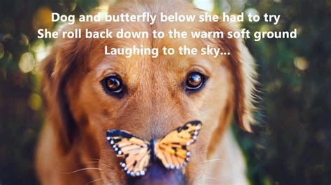 Dog And Butterfly Heart 1979 Beautiful Dogs Cute Animals Golden