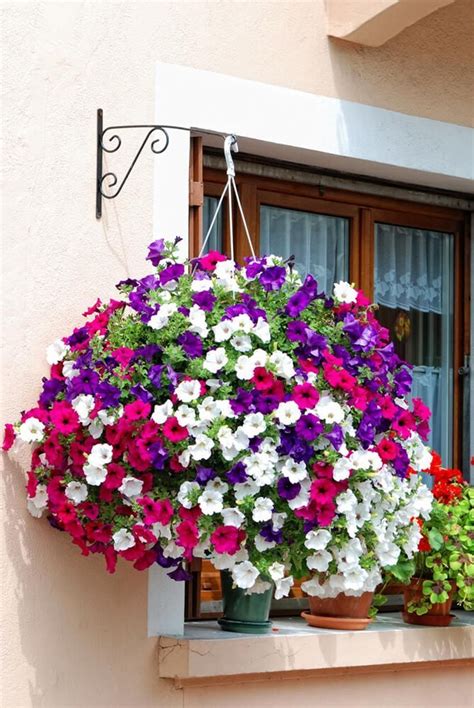 23 Most Beautiful Hanging Basket Flower Arrangement Ideas
