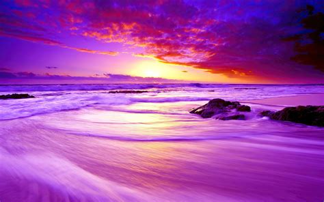 Purple Beach Sunset 4k Hd Nature 4k Wallpapers Images Backgrounds Gambaran