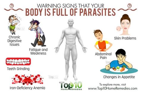 10 Warning Signs That Your Body Is Full Of Parasites Top 10 Home Remedies