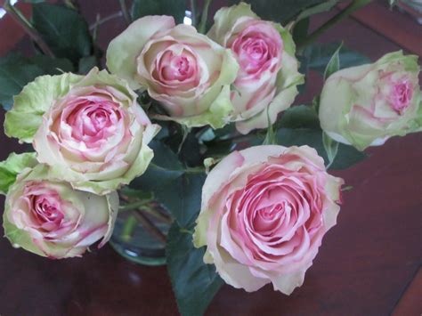 Make It With Me Beautiful Pink And Green Roses