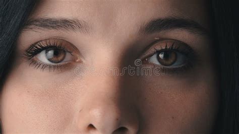 Beauty Macro Close Up Brown Woman S Eyes Blinking Stock Footage Video