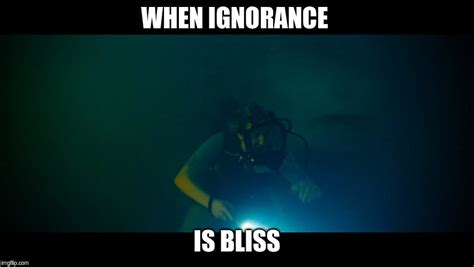 Ignorance Is Bliss Imgflip