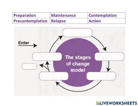 Stages Of Change Worksheet Live Worksheets