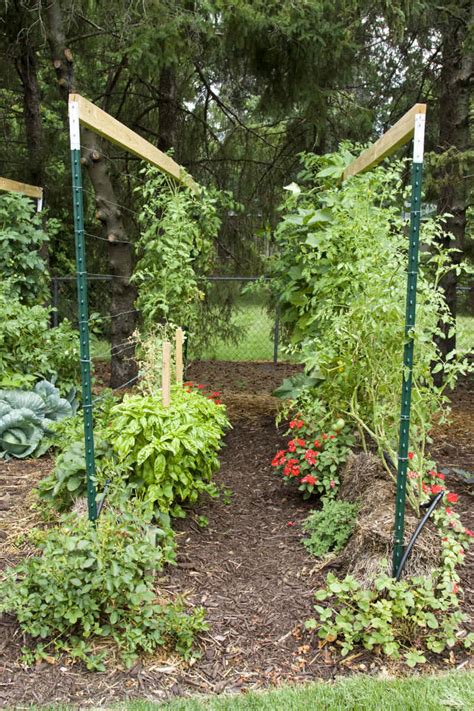 How To Build A Straw Bale Garden Modern Farmer