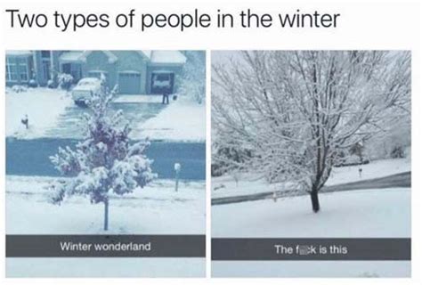 18 Most Funny Af Memes About The Snow Wow Gallery Ebaum S World
